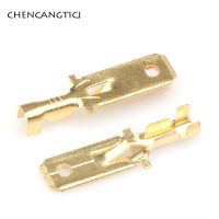 50 Pcs 6.3 MM Automotive Crimp Terminal Male Spade Connector Brass Pins Auto Splice Wire Terminals DJ611-6.3A G194