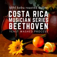 ??[มาเต็มทั้งทุ่งดอกไม้] Costa Rica Beethoven กาแฟคั่วสดใหม่ สไตล์นักดนตรีดอกไม้หอมฟุ้ง ขนาด 100g - 200g.