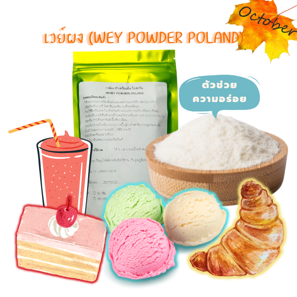 a01-เวย์ผง-ทำเครื่องดื่ม-ไอศกรีม-เบเกอรี่-whey-powder-poland