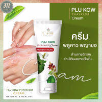 ส่งฟรี!! โปร 3 แถม 1 ครีมพลูคาวพญายอ Plu Kow  1 หลอด 40 ml. พร้อมส่ง