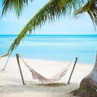 แคมป์ปิ้ง Beach Single Hammock Outdoor Backyard ผ้าใบพู่เตียงนอนสวิง