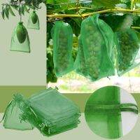 ┋☄◈ 50pcs Grape Protection Bag Hard Gauze Bag With Drawstring Prevents Insects Home Garden Fruit Green Growing Bag Bolsa De Cultivo