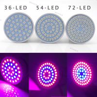 220V Plant Grow Light Lamps Indoor Greenhouse Cultivo Flower Red Blue Hydro Growbox Fitolampy 36/54/72 LED WDAGTH