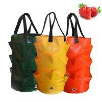 【YF】▫☬✜  3 Gallon Strawberry Garden Hanging Outdoor Multi-mouth Pot Supplies