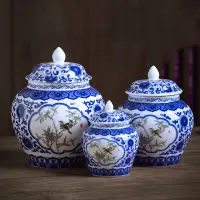Blue and White Porcelain Household Tea Caddy Kitchen Condiment Storage Jar Household Candy and Dried Fruit Storage Jar Gift