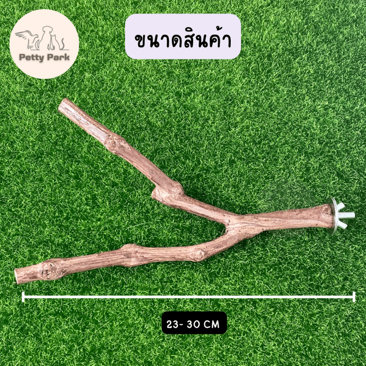 คอนนกยืน-คอนยืนนกแก้ว-แบบไม้-2-ง้าม-ไม้ธรรมชาติ-คอนไม้-คอนสำหรับนก-ของเล่นนก-ของเล่นนกแก้ว-อุปกรณ์นกแก้ว-อุปกรณ์สัตว์