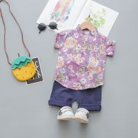 0-4-year-old boys and girls pure cotton embroidery fashion short sleeve shirt + Leisure shorts 2-piece set