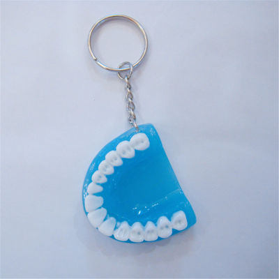 Resin Keyring Tooth Keyring Molar Upper Jaw Key Chain Jewelry Gift Key Chain Denture Keychains