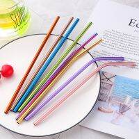 Reusable Metal Straw Set 304 Stainless Steel Curved Straight Straw Milk Drink DIY Cocktail Party Kitchen Bar Accessories 2Pcs Specialty Glassware