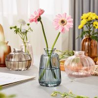 Nordic Transparent Glass Flower Vase Creative Hydroponic Plant Bottle Flower for Decoration Living Rooms горшки для цветов