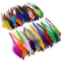 20Pcs Pheasant Feathers for Jewelry Making Decoration Catcher Fly Tying Materials Crafts Handicraft Accessories Needlework