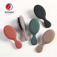 SUSHEN Personal Hairbrush Portable Massager Brush Hair Comb Fashion Pocket Mini Sized Salon Equipment Styling ToolMulticolor