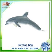 Safari LTD. : SFR210802 โมเดล Monterey Bay Bottlenose Dolphin Adult Model Action Figure Cartoon แอกชั่น ฟิกเกอร์ ของเล่น ของสะสม ของเล่นเด็ก ตุ๊กตา Mamy and Buddy