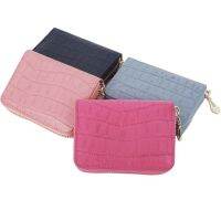 Korean Style Multi-Card Crocodile Pattern Clutch Zipper Expanding Card Holder Female Creative Personality Woven Solid Color Coin Purse Wholesale