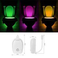 Human Body Induction Toilet Seat Night Light 7 Colors Waterproof For Toilet Bowl LED Luminaria Lamp WC Toilet Light