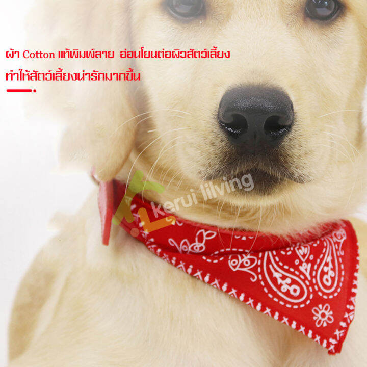 ปลอกคอสุนัข-ผ้าพันคอสัตว์เลี้ยง-ปลอกคอหมา-ปลอกคอ-ผ้าพันคอปลอกคอ-ผ้าพันคอสามเหลี่ยม-pet-collar-ปลอกคอสามเหลี่ยม-ปลอกคอผ้า-ปลอกคอแมว