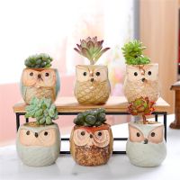 【hot】♂◎  Pots Flowerpot Succulent  Pot With Hole Garden Office