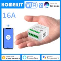 【YD】 MINI WIFI Wall Relay 16A 2-Way Timer Switchs with Homekit