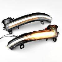 2 Pieces Dynamic Rearview Mirror Blinker Turn Signal LED light For BMW F20 F30 F31 F21 F22 F23 F32 F33 F34 X1 E84 1 2 3 4 series