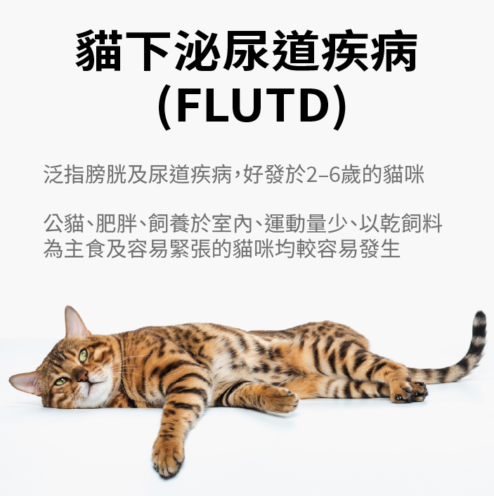 FLUTD CAT LITTER HEALTH INDICATOR Test at home for blood in your cat’s