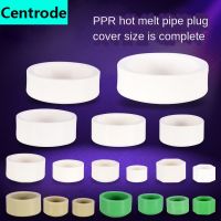 Pipe fittings PPR plug cap hot melt plug DN20 / 25/32/40/63/75/110 pipe plug 1/2inch 3/4inch inner wire water pipe fittings