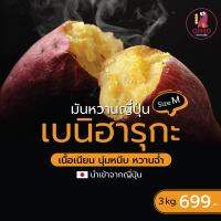 OIMO โออิโมะมันหวานญี่ปุ่นพันธุ์เบนิฮารุกะ Beniharuka sweet potato Size M 3 kg