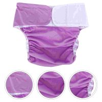 【CC】 Washable Anti-leak Urinal Pant Leakproof for Incontinence Overnight Diaper