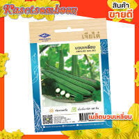 เมล็ดพันธุ์ผัก เมล็ดบวบเหลี่ยม เจียไต๋ ( gourd seed ) บรรจุ 18 เมล็ด/ซอง ขนาด 15 บาท ตรา เครื่องบิน