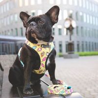 Pet Harness for Dogs Leashes Breathable Dog Vest Harness Pug French Bulldog Dog Harness Leash Set Outdoor Walking Pet Supplies Leashes