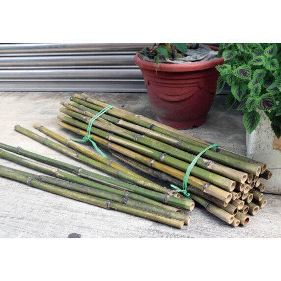 10pcs bamboo pole 2cm x 100cm making furniture Lazada PH