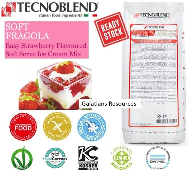 Italy Imported Tecnoblend Premium Soft Serve Gelato Ice Cream Powder