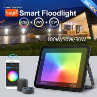 Seville TUYA โปรเจคเตอร์ Led RGB ไฟคริสต์มาสกลางแจ้ง IP66กันน้ำ Foco Led 220V 50W 30W สนามแสงสว่างสำหรับสวนกลางแจ้ง