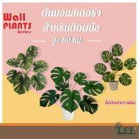 ((WALL PLANTS SERIES)) ต้นมอนสเตอร่าปลอม พร้อมกระถางติดผนัง ** ติดได้โดยไม่ต้องเจาะผนัง!! **   #Leeartplants