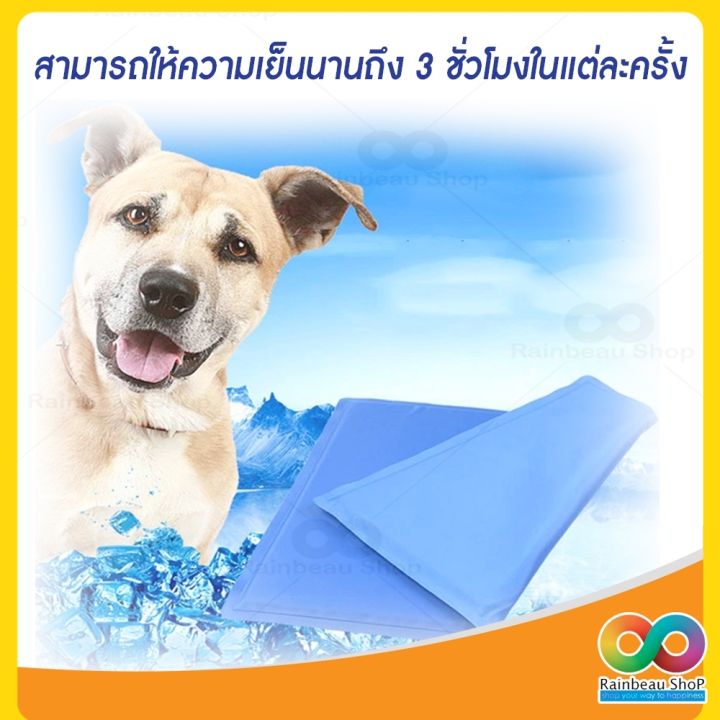 rainbeau-แผ่นเจลเย็น-ที่นอนเย็น-เบาะนอนเย็น-สำหรับสุนัขและแมว-ที่นอนเจล-pet-cool-mat-ที่นอนสัตว์เลี้ยงแบบเย็น-สุนัข-เบาะรองนั่ง-รองนอน-ที่นอนหมา-ที่นอนน้องหมา-ที่นอนเจลเย็นหมา-ที่นอนเย็นหมา-ที่นอนเย็น