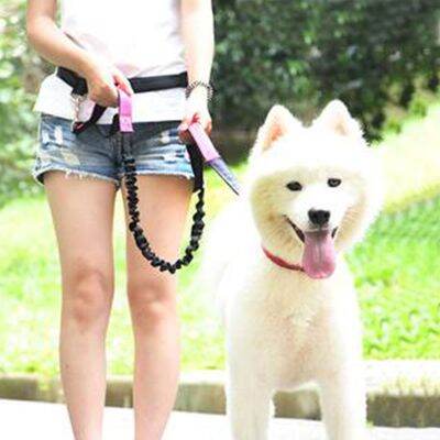 （PAPI PET）ที่มีคุณภาพสูงหดแฮนด์ฟรีจูงสุนัขสำหรับการวิ่งคู่จับบันจี้จัมจูงสะท้อนแสงสำหรับสุนัขขนาดใหญ่อุปกรณ์สัตว์เลี้ยง