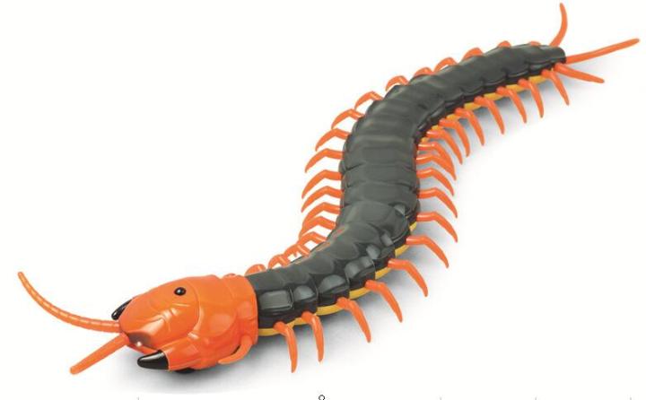 innovation-scolopendra-ตะขาบหุ่นยนต์-บังคับด้วยรีโมท-no-9901