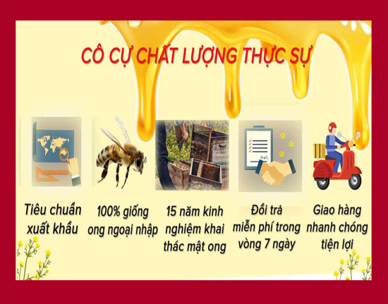 Mật ong nguyên chất hoa cà phê cô cự bộ 2 chai thủy tinh 1 lít - ảnh sản phẩm 5