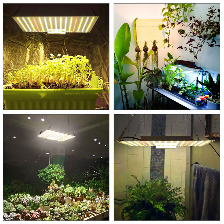 led-grow-light-for-samsung-quantum-qbcc650-full-spectrum-650w-650w-pro-indoor-plant-vegetable-greenhouse-planting-lamp