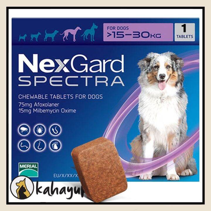 Nexgard Spectra Single Anti Tick Flea and Worms Chewable for Large Dogs