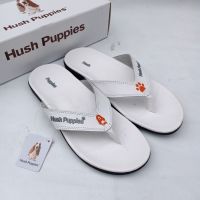 TOP▼ Hush puppies รองเท้าแตะ / รองเท้าแตะผู้ชาย / รองเท้าแตะ