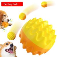 【YF】❉♙  Chewing Bouncing Rubber Dog And Rope Interactive Big Game Buy 2 1