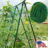 [Ready stcok]⭐⭐⭐⭐scrog net ตาข่ายปลูกผัก ตาข่ายไม้เลื้อย ตาข่ายไนลอน ตาข่ายทำค้างผักเลื้อย เน็ตตาข่าย ตาข่ายHDPE ตาข่ายไนล่อน Nylon net⭐⭐⭐⭐⭐⭐ส่งฟรี