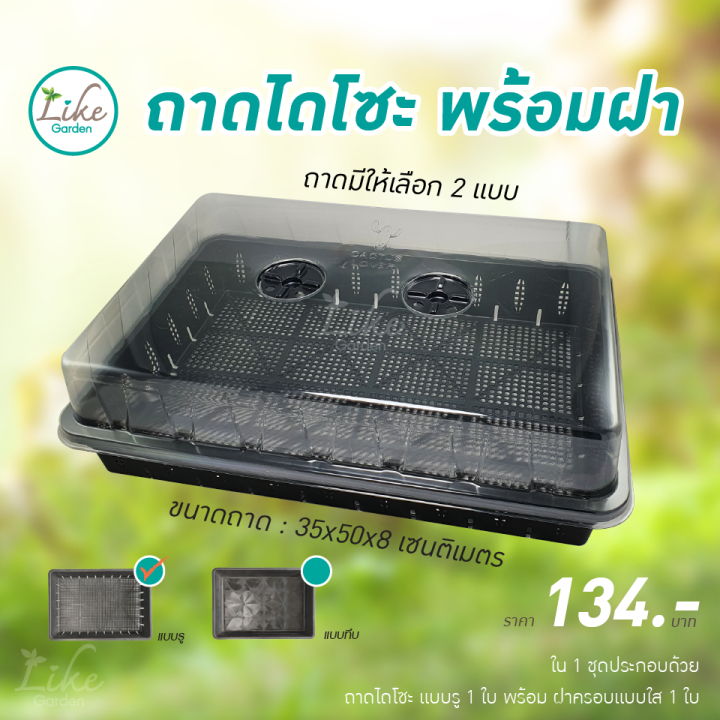 ถาดไดโซะพร้อมฝาครอบพลาสติกใส-ถาดแบบทึบและแบบรู