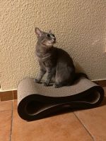 Cat Scratcher Lounge Fat Cat Bed Cardboard Paper High Quality Cat Toy Scratching Pad