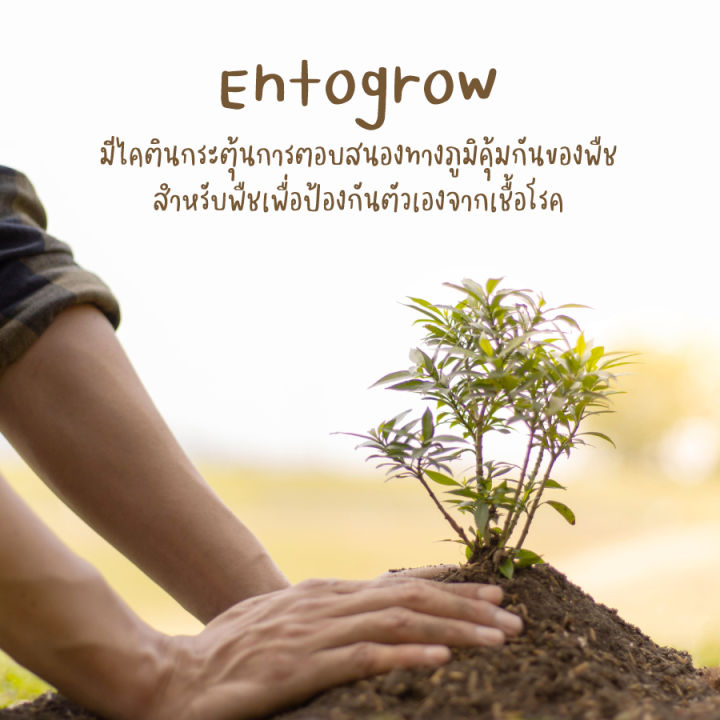 entogrow-ปุ๋ยอินทรีย์-organic-จากมูลจิ้งหรีด