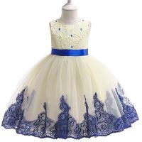 [COD] 2022 childrens dress princess girls wedding tutu foreign trade children mesh performance