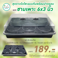 ชุดถาดไดโซะพร้อมฝาครอบและชามเพาะขนาด 6x3 นิ้ว 6 ใบ (ชุดสำหรับเพาะ)