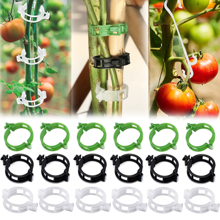 10Pcs Plant Support Clips Supports Connects Reusable Grafting Fixing ...