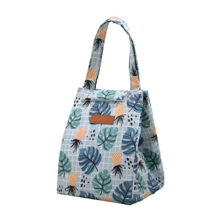 food-storage-bag-camping-lunch-bag-beach-cooler-bag-thermal-cooler-bag-picnic-lunch-bag-insulated-lunch-bag