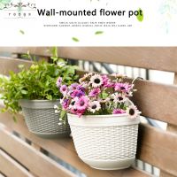 【Ready Stock】 ✗ D50 Plastic Wall Hanging Semi-circular Flower Pot Fence Hanging Woven Flower Pot